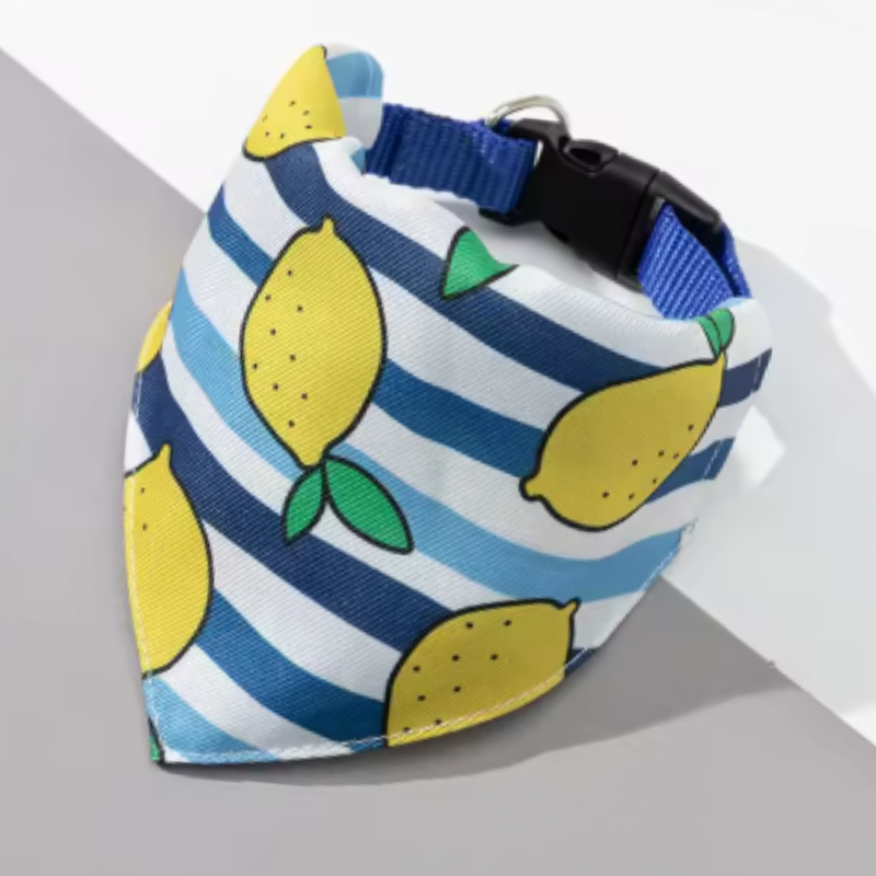 Pets Bandana
