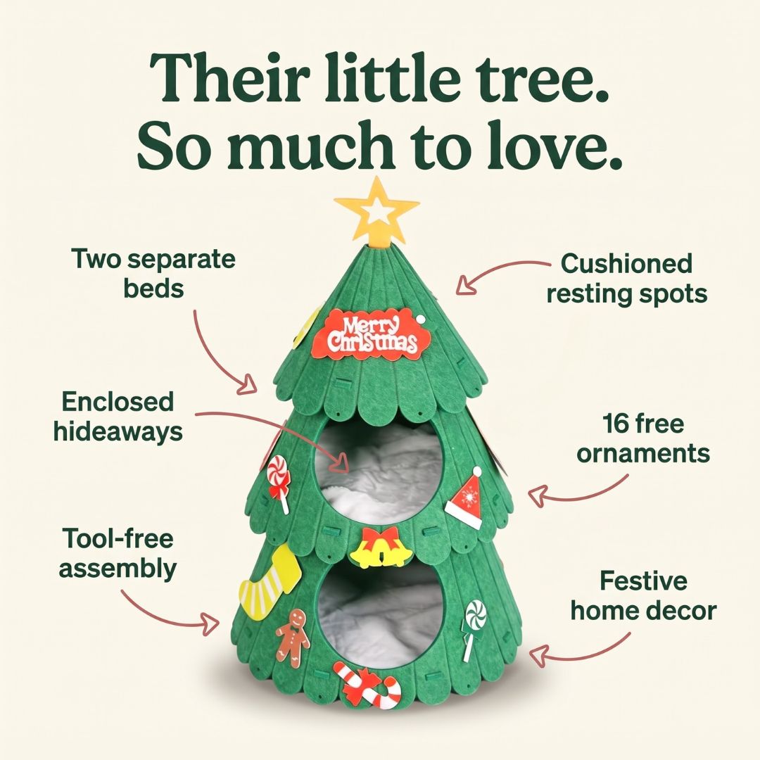 Meowy Tower