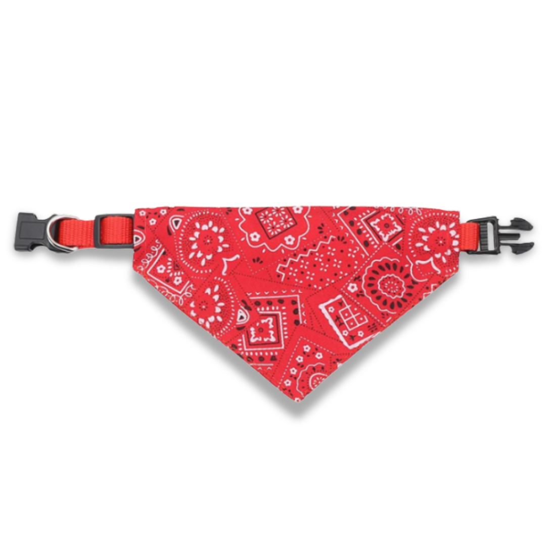 Pet Bandana