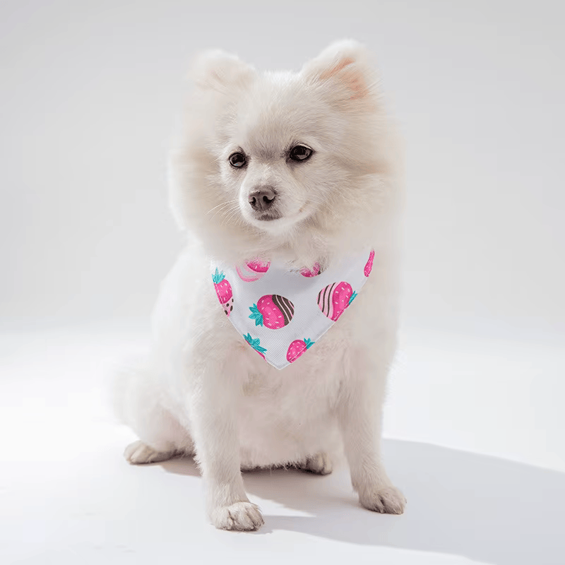 Pets Bandana
