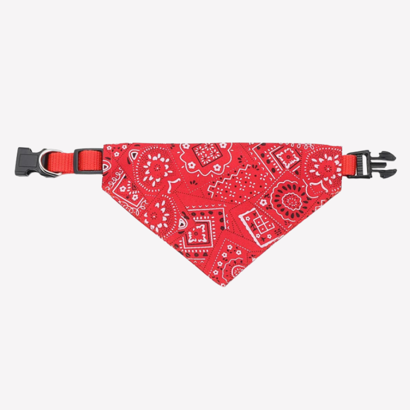 Pet Bandana